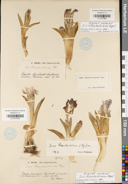 LE 01017902