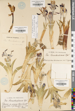 LE 01017904
