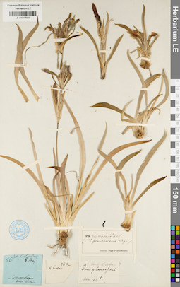 LE 01017919