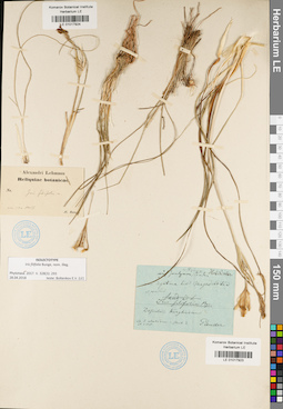 LE 01017924