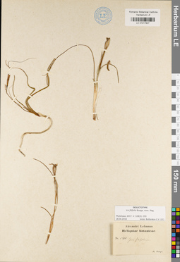 LE 01017927