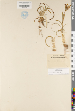 LE 01017932