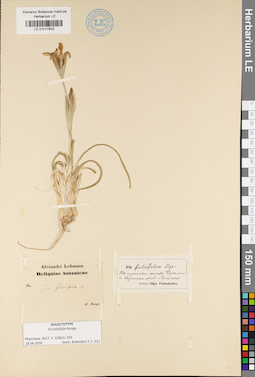 LE 01017933