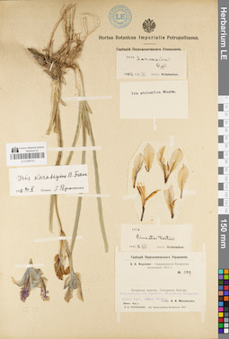 LE 01048110