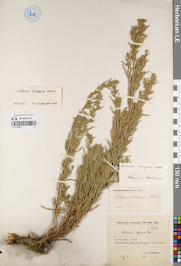 LE 01190077