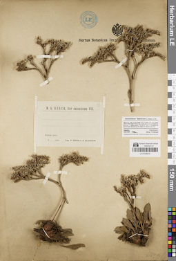 LE 01048019