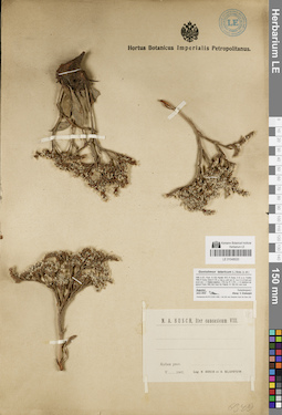 LE 01048020