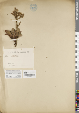 LE 01048021