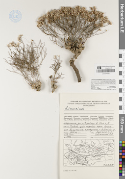 LE 01047892