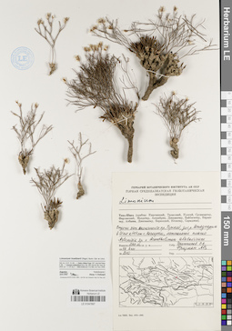 LE 01047897