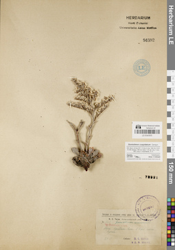 LE 01047975