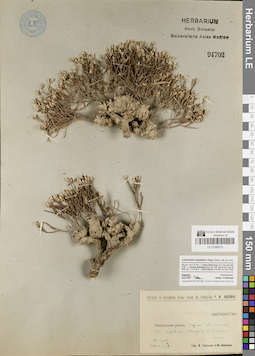 LE 01048010