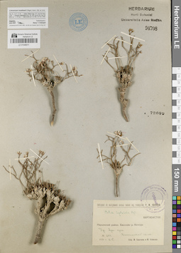 LE 01048011