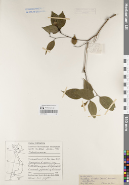 LE 01169451