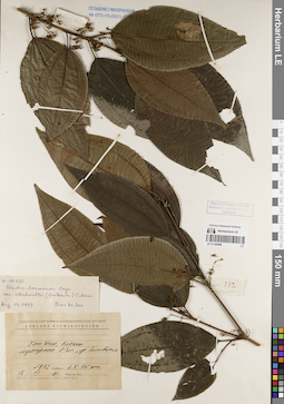 LE 01169488