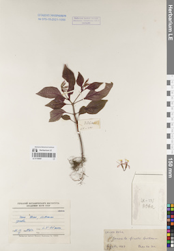 LE 01169497