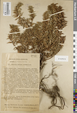 LE 01190118