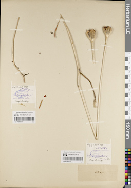 LE 01205172