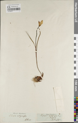 LE 01205177
