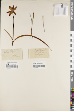 LE 01205179