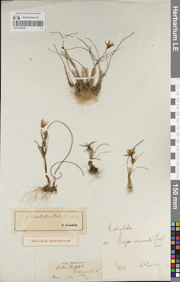 LE 01205190