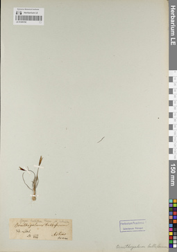 LE 01205192