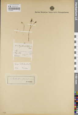 LE 01205193