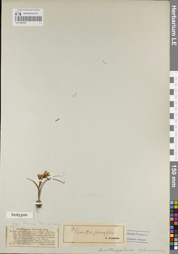 LE 01205194
