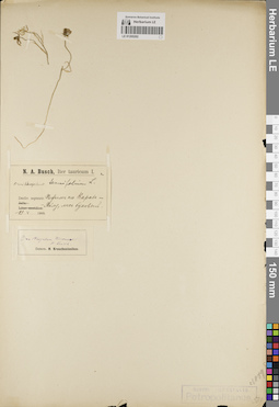 LE 01205202
