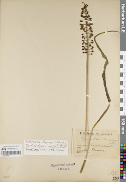LE 01053061