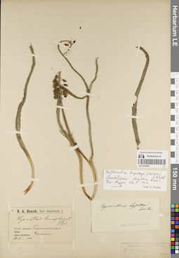 LE 01053064