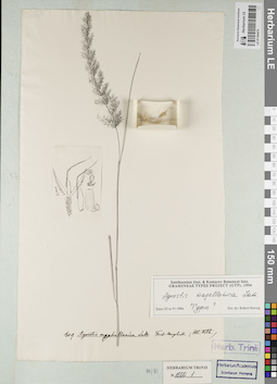 LE 01164475