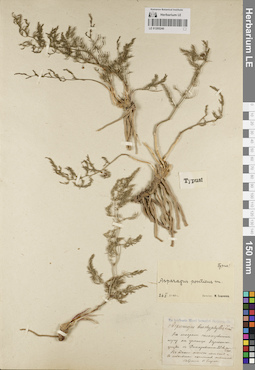 LE 01205240