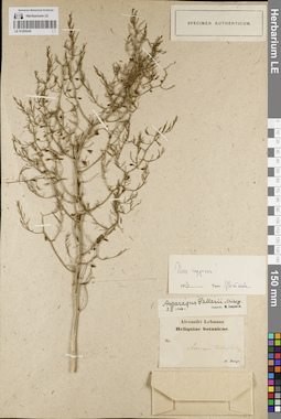 LE 01205245