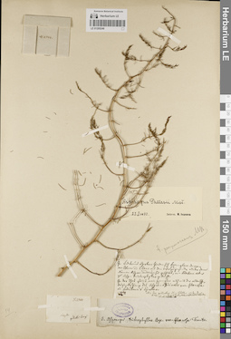 LE 01205249