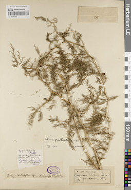 LE 01205250