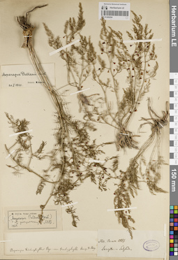 LE 01205254