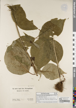 LE 01070285