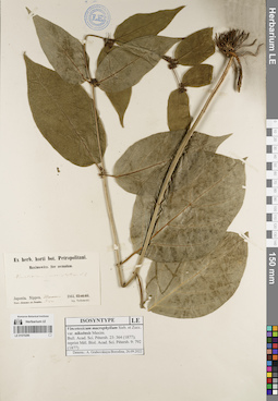 LE 01070286