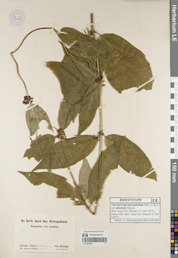 LE 01070288