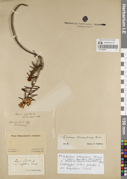 LE 01082948