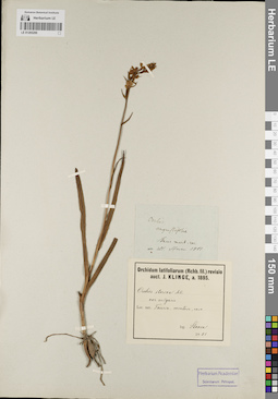 LE 01205299