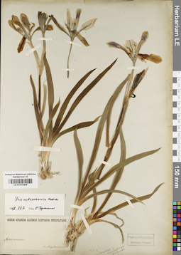 LE 01015406