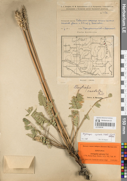 LE 01205148