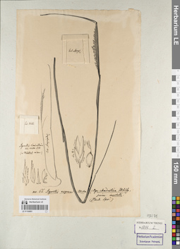 LE 01164801