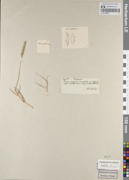 LE 01164906