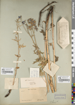 LE 01082949