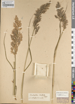 LE 01165089