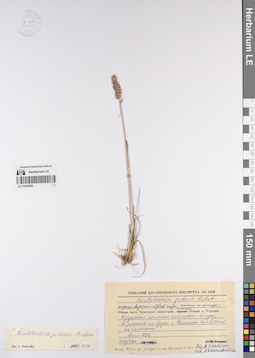 LE 01082958