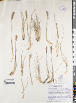 LE 01082962